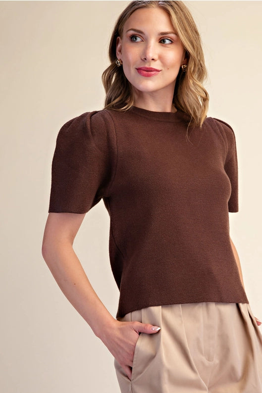Brown Puff Sleeve Pullover Knit Top