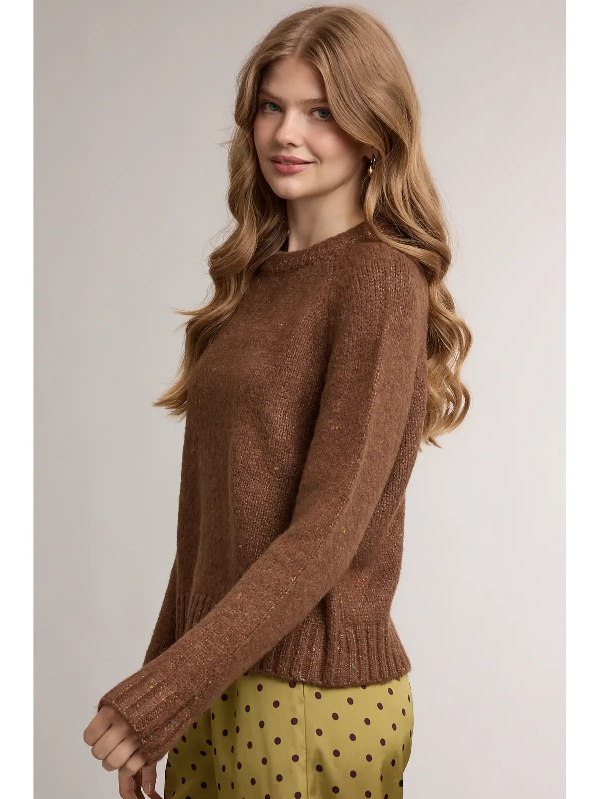 Mocha Speckled Soft Knit Crewneck Sweater