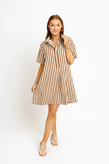 Stripe Poplin Shirt Dress