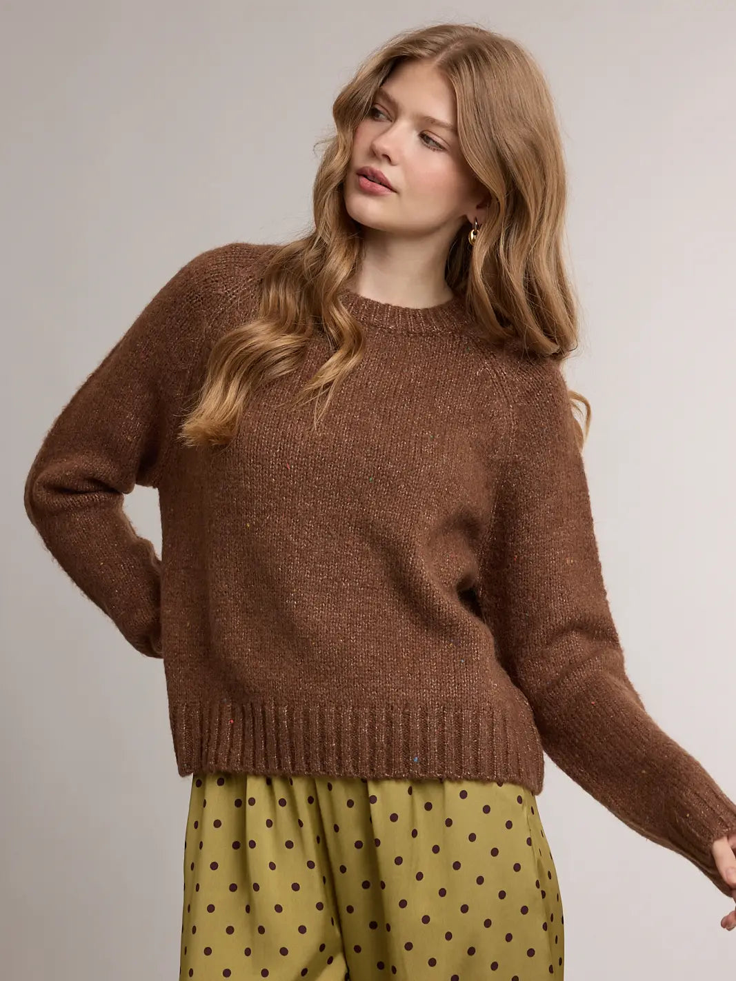 Mocha Speckled Soft Knit Crewneck Sweater