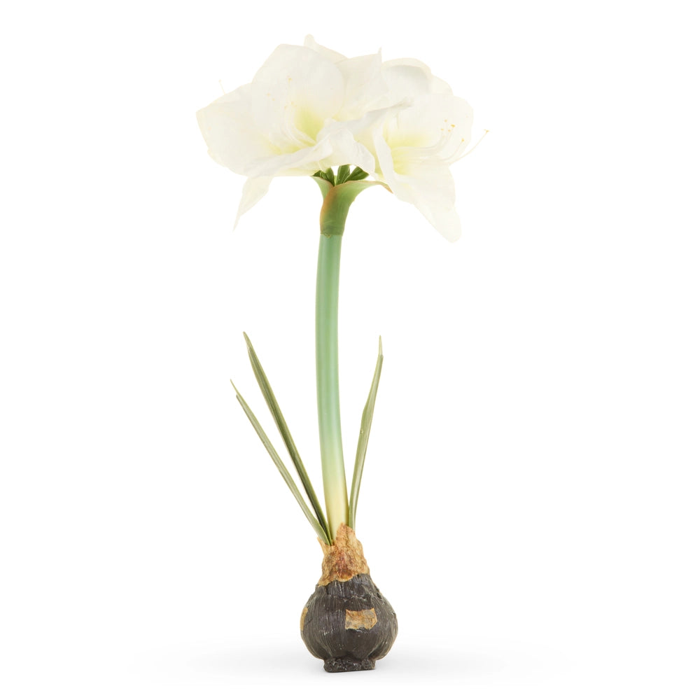 19" White Real Touch White Amaryllis Bulb