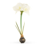 19" White Real Touch White Amaryllis Bulb