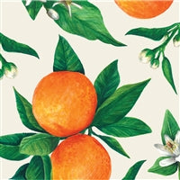 Hester & Cook Orange Cocktail Napkins