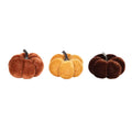 9 Assorted Pumpkin Box