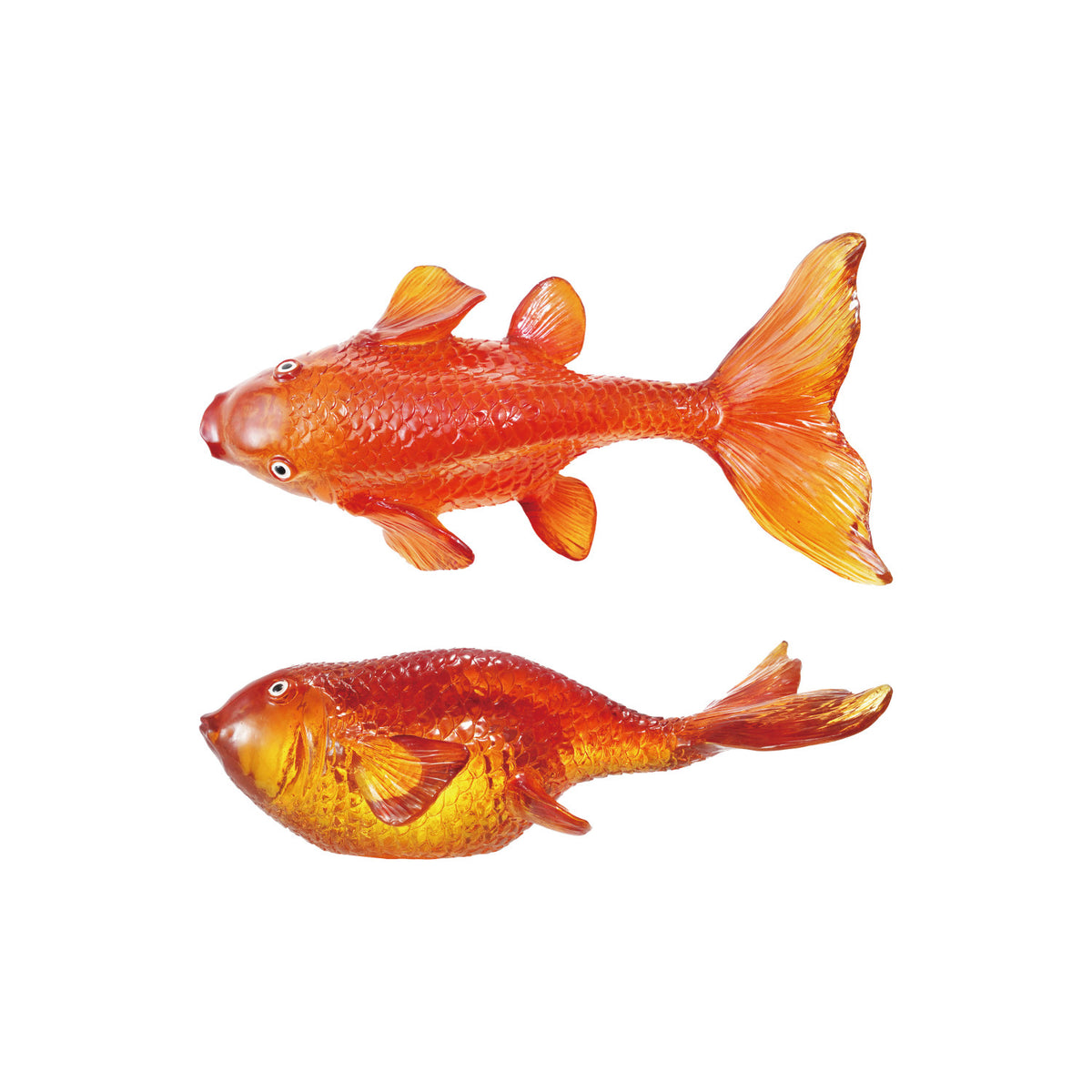 Transparent Goldfish